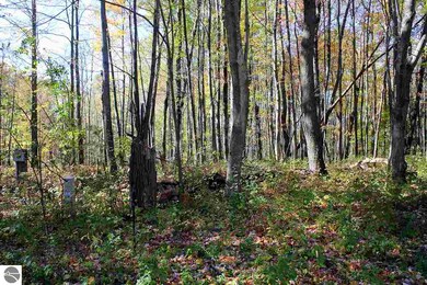 132 W Ridge Cir, Le Roy, MI 49655 - photo 3