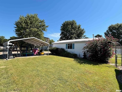 203 E 4th St, Brookport, IL 62910 - photo 4