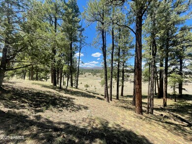 -- Country Road 2276 -- unit 2, Nutrioso, AZ 85932 - photo 6