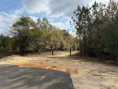 Sc Hwy 39 unit LotWP001, Williston, SC 29853 - photo 5