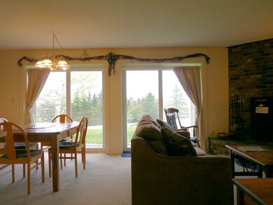 31 Farm Rd unit B1, Peru, VT 05152 - photo 5