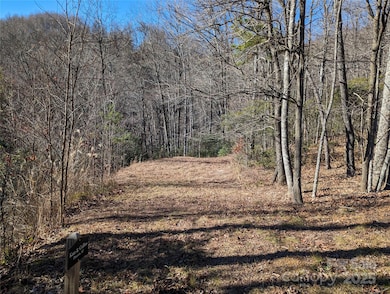 28 Trillium Ln unit C-1, Black Mountain, NC 28711 - photo 4