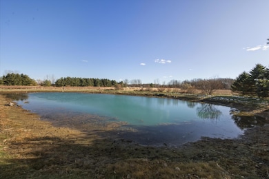 9227 Yager Rd, Columbus, MI 48063 - photo 5