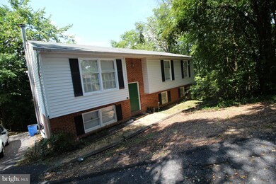 305 W Fairchild Dr, Strasburg, VA 22657 - photo 4