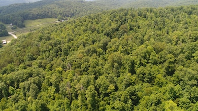 13000 Highway 192, Somerset, KY 42501 - photo 7