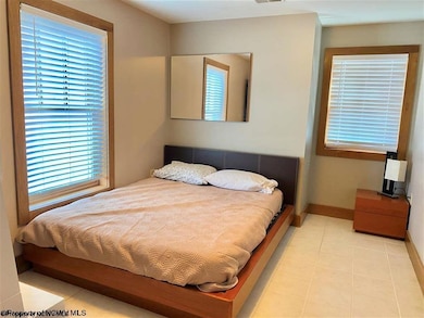 339 Slopeside Rd, Davis, WV 26260 - photo 6