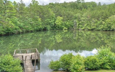 116 Mountain Rivers Ln, Mineral Bluff, GA 30559 - photo 4