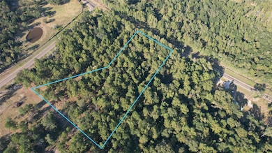 TBD Farm To Market Road 247, Midway, TX 75852 - photo 2