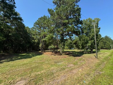 1694 Fish Rd unit 1-5, Ridgeville, SC 29472 - photo 4