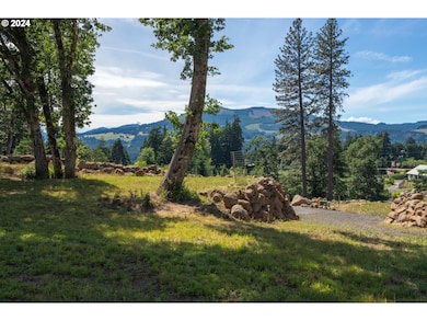 0 Painted Sky Ln unit 3 24266386, White Salmon, WA 98672 - photo 2