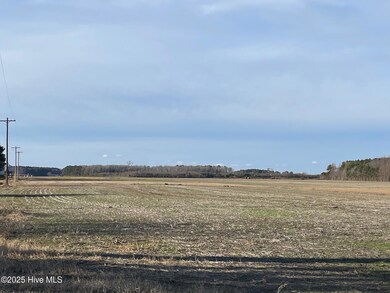 615 Meadstown Rd, Elizabeth City, NC 27909 - photo 3