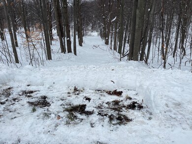 VL W Grant Rd, Shelby, MI 49455 - photo 4