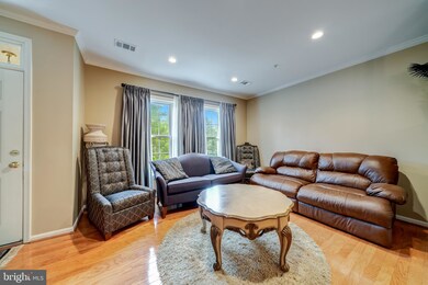 42261 Terrazzo Terrace, Stone Ridge, VA 20105 - photo 5