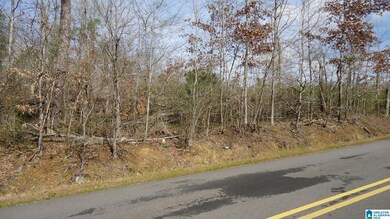 551 Grayton Rd S, Ohatchee, AL 36206 - photo 5