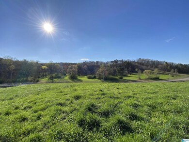 0 Highway 174 unit Tract 8 21415020, Springville, AL 35146 - photo 3