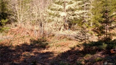 18610 232nd Ave E, Orting, WA 98360 - photo 2