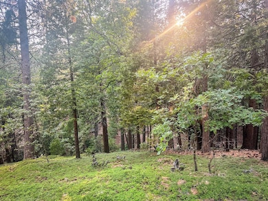 1800 Kit Carson Cir, Arnold, CA 95223 - photo 2