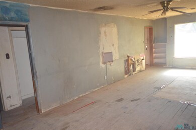 707 N Guadalupe St, Carlsbad, NM 88220 - photo 6