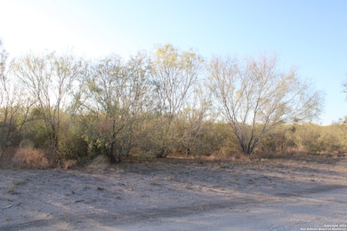 0000 County Road 339, Jourdanton, TX 78026 - photo 7