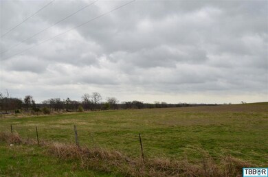 0 Willow Grove unit 9112508, Moody, TX 76557 - photo 3