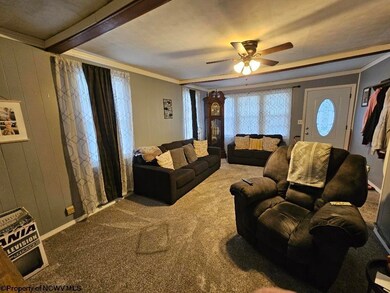 61 Leo Menendez Dr, Meadowbrook, WV 26404 - photo 5