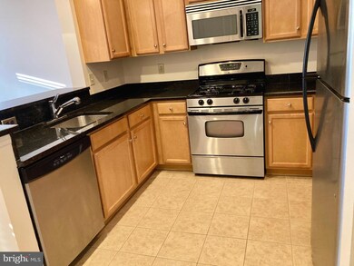 Halstead at The Metro unit 244, Fairfax, VA 22031 - photo 6