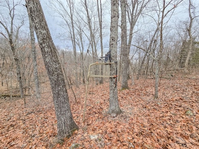 000 W Hwy, Wheatland, MO 65779 - photo 4