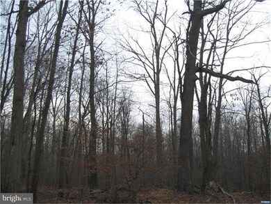 1399 Flat Iron Rd, Harrington, DE 19952 - photo 3