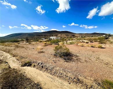 21037 N Spear Blvd, White Hills, AZ 86445 - photo 5