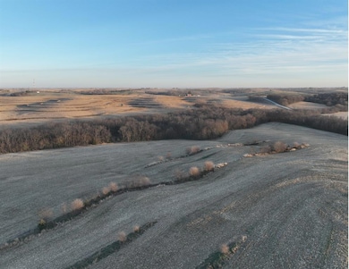 0 290 St, College Springs, IA 51637 - photo 6