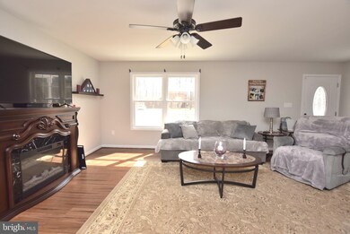 239 Lower View Rd, Strasburg, VA 22657 - photo 7