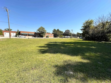 489 N Taylor Ave, Piggott, AR 72454 - photo 4