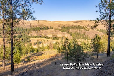 31635 E Ringneck Ln, Davenport, WA 99122 - photo 2
