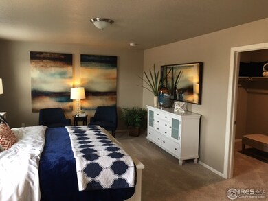 6840 Covenant Ct, Timnath, CO 80547 - photo 7