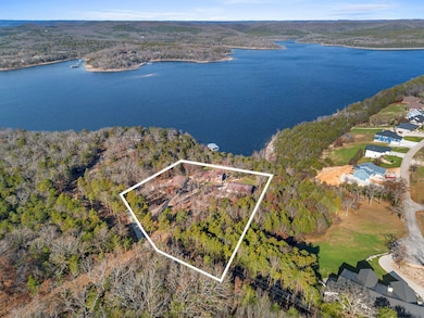 213 Hydes Hollow Ln, Lampe, MO 65681 - photo 3