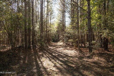 0 Union Rd, Hazlehurst, MS 39083 - photo 4