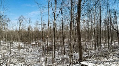 0 Pondell Rd unit 1564447, Weyerhaeuser, WI 54895 - photo 4