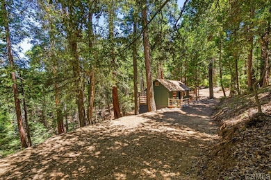 22058 Crestline Rd, Palomar Mountain, CA 92060 - photo 3
