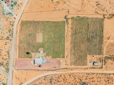 2909 E Country Club Dr, Willcox, AZ 85643 - photo 6