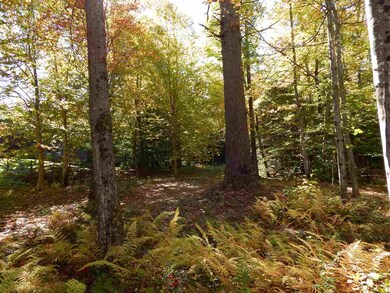 12 Chalk Pond Rd, Newbury, NH 03255 - photo 4