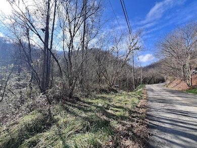 99999 Ky 2030, Martin, KY 41649 - photo 6