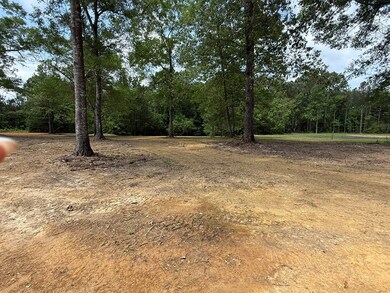 131 Jake Smith Rd, Carriere, MS 39426 - photo 7