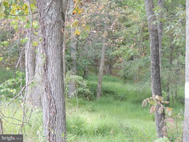 0 Hunting Ridge Rd unit VAFV153122, Winchester, VA 22603 - photo 3