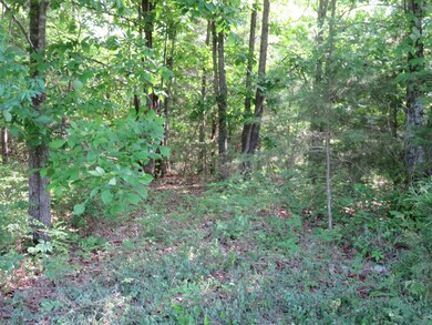 0 L 11 Spice Rd, North Galloway Township, MO 65721 - photo 5