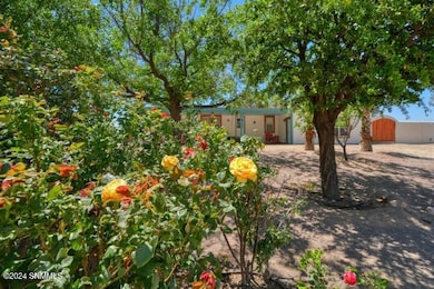 245 Hurt Rd, Las Cruces, NM 88007 - photo 6