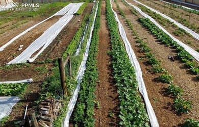 7545 Log Rd, Peyton, CO 80831 - photo 7