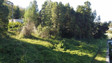 0 Ainakula Rd unit Lot 9-B 394853, Kula, HI 96790 - photo 6