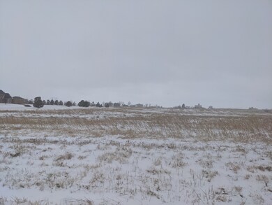 31346 S Klemme Rd, Beecher, IL 60401 - photo 4