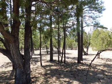 3436 Ponderosa Loop (6)