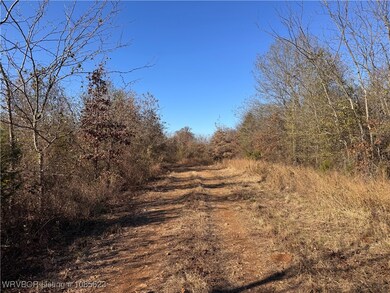 47760 Conser Creek Rd, Heavener, OK 74937 - photo 3